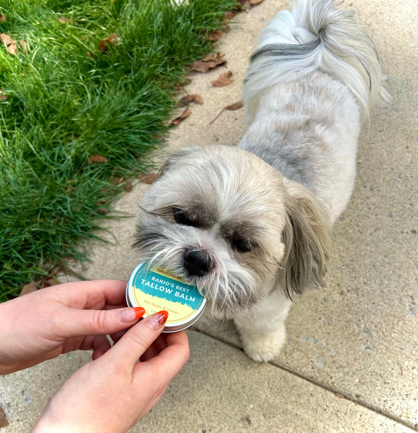 Banjo's Best Tallow Balm